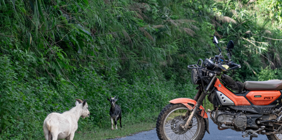 North Vietnam Motorcycle Tours 11 Day