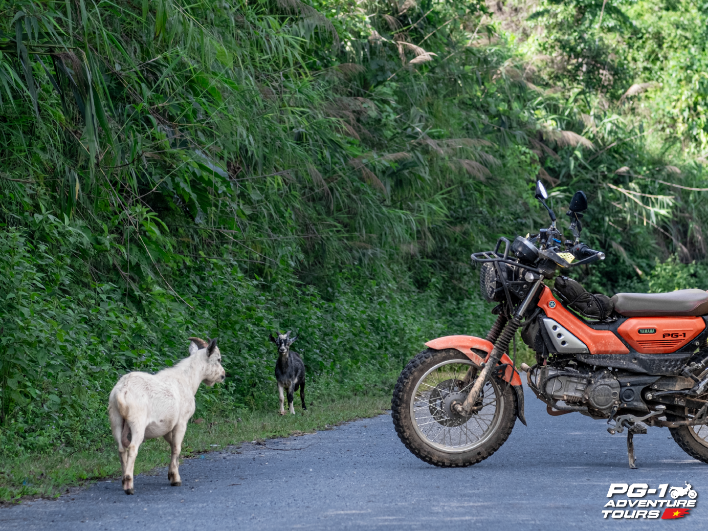 North Vietnam Motorcycle Tours: 11-Day Adventure On 2 Wheels 2 North Vietnam Motorcycle Tours 11 Day