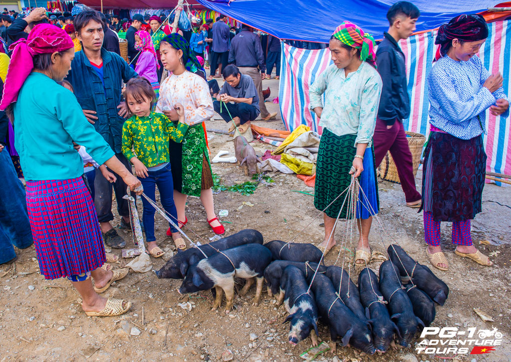 Ha Giang Loop Motorbike: Hanoi To Ba Be Within 7 Days 6 Bao Lac Motorcycle Route